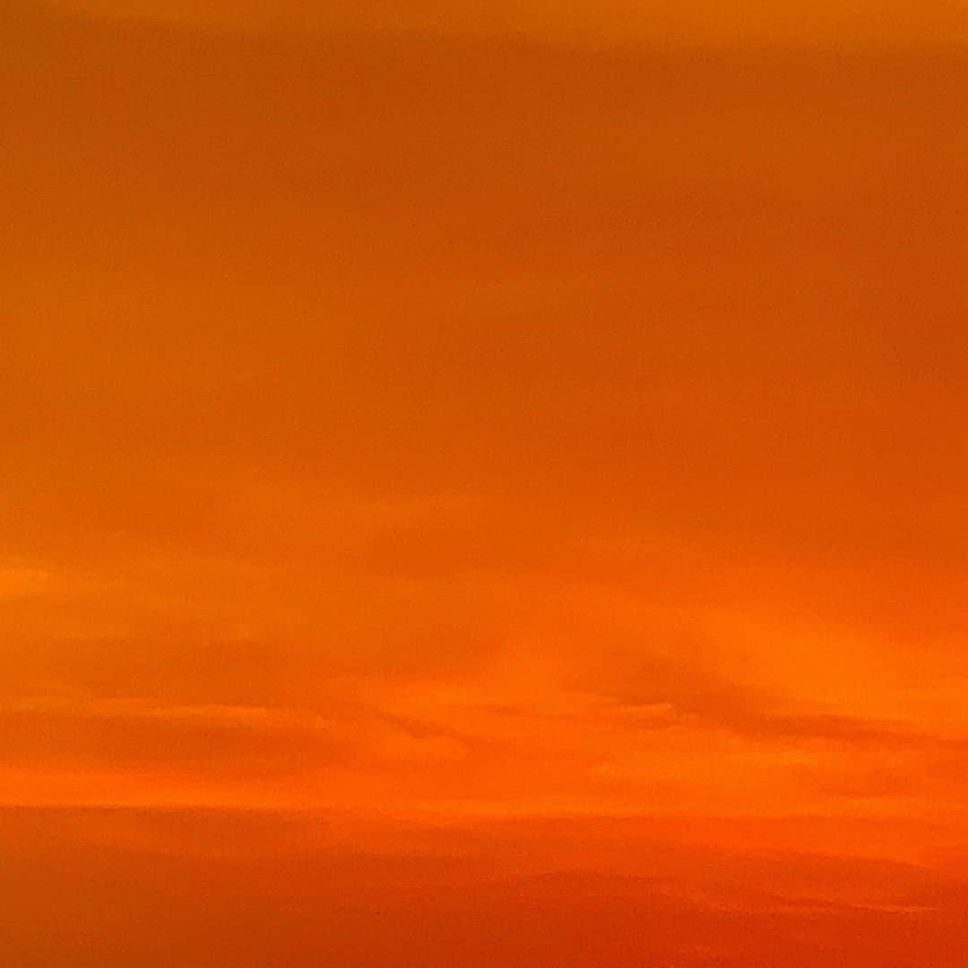 安珠のインスタグラム：「東京とは思えない美しい朝焼 #tokyo #sunrise #stayhome」