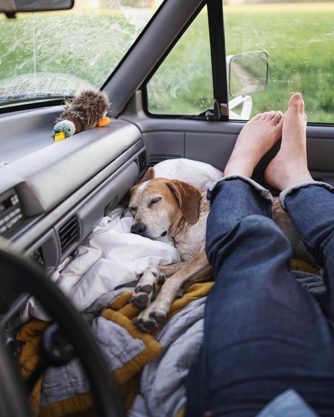 マディのインスタグラム：「At 36 I didn’t think I’d be dirt bag camping in my truck towards a new dream out in Montana but it’s truly wonderful how little you need for the good moments ✨but hey don’t worry about us for too long cause there’s a shiny high roof Transit van waiting for us to land」