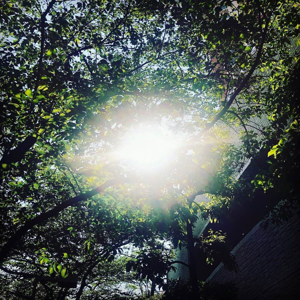 矢吹世奈のインスタグラム：「#5月#may」