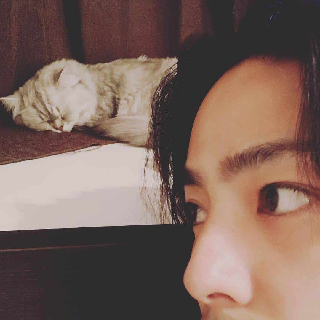 木村了さんのインスタグラム写真 - (木村了Instagram)「#日々の暮らしを楽しむ  #最近のお気に入りの場所  #気持ち良さそうに寝てる  #小さい事でも幸せ  #感じることの大切さ  #猫との暮らし  #私の大事な場所は #呼吸 #間 #テンポ #タイミング #生で感じる素晴らしさ  #全てが詰まっている #そんな場所 #もう一つは #沢山の人達が  #関わって #出来上がる #大勢が #観る #感動の場所 #御想像にお任せします  #stayhome  #今日も我が家」5月2日 23時56分 - r_k0923