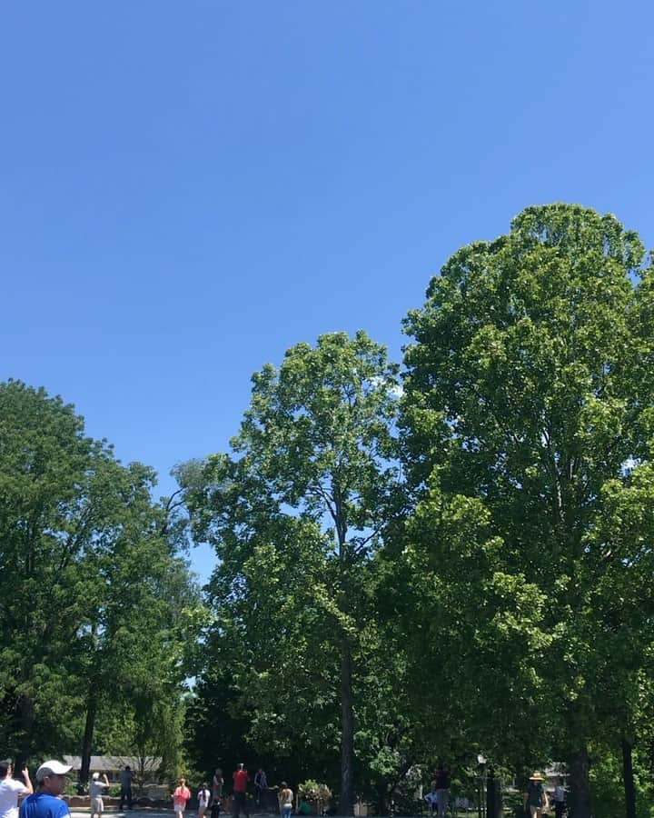 ヴィッキー・ハーストのインスタグラム：「What an honor to see @afthunderbirds and @usnavyblueangels do their flyover in Atlanta as a salute to Covid 19 Healthcare workers. 🇺🇸」