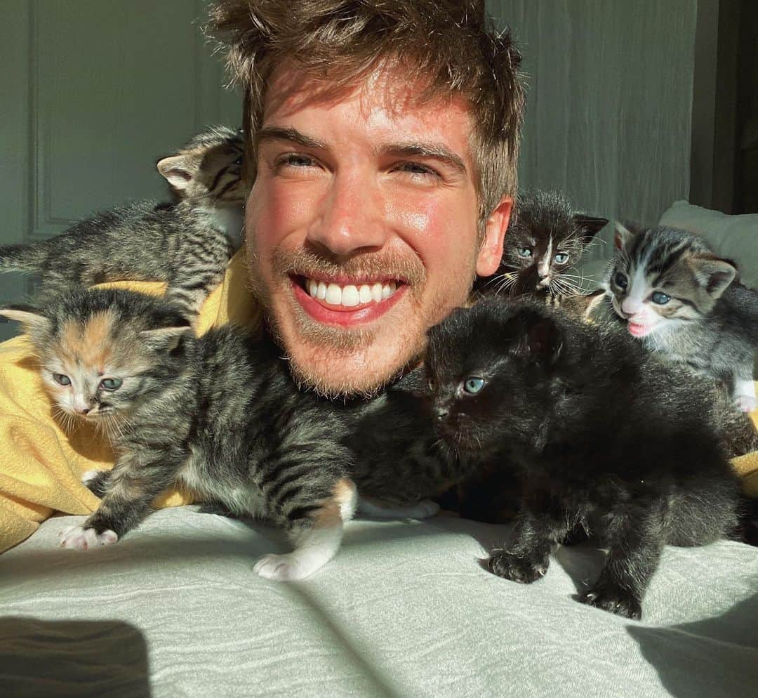 ジョーイ・グレーセッファさんのインスタグラム写真 - (ジョーイ・グレーセッファInstagram)「I think I win for the cutest quarantine buddies 😽 which kitten is your fave?」5月3日 4時07分 - joeygraceffa