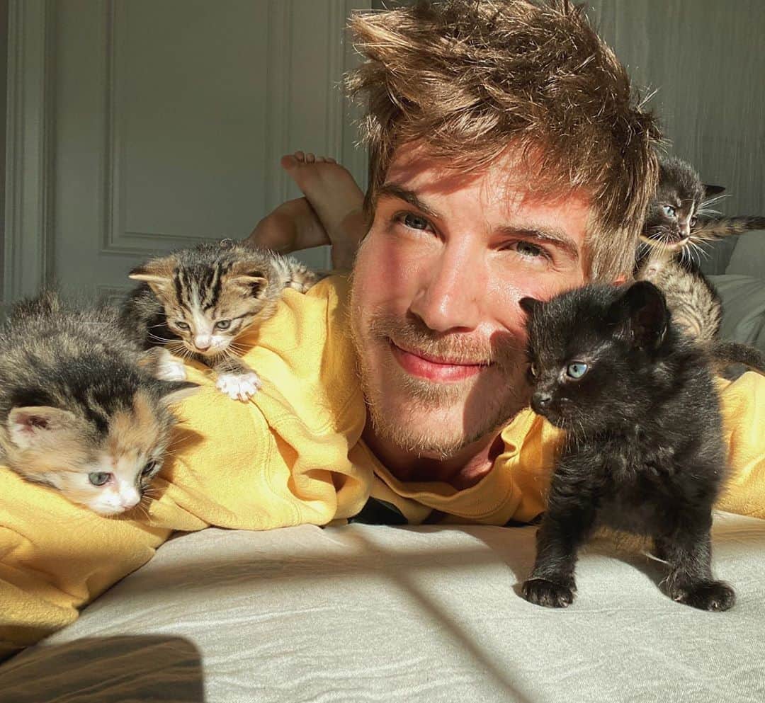 ジョーイ・グレーセッファのインスタグラム：「I think I win for the cutest quarantine buddies 😽 which kitten is your fave?」