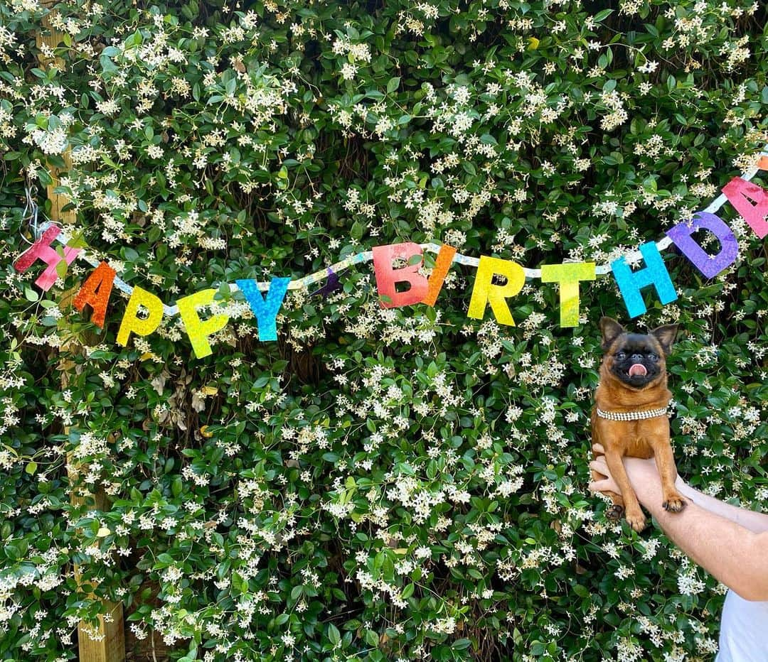 BING & WALTERのインスタグラム：「Happy Birthday to me!!! 🎉🎉」