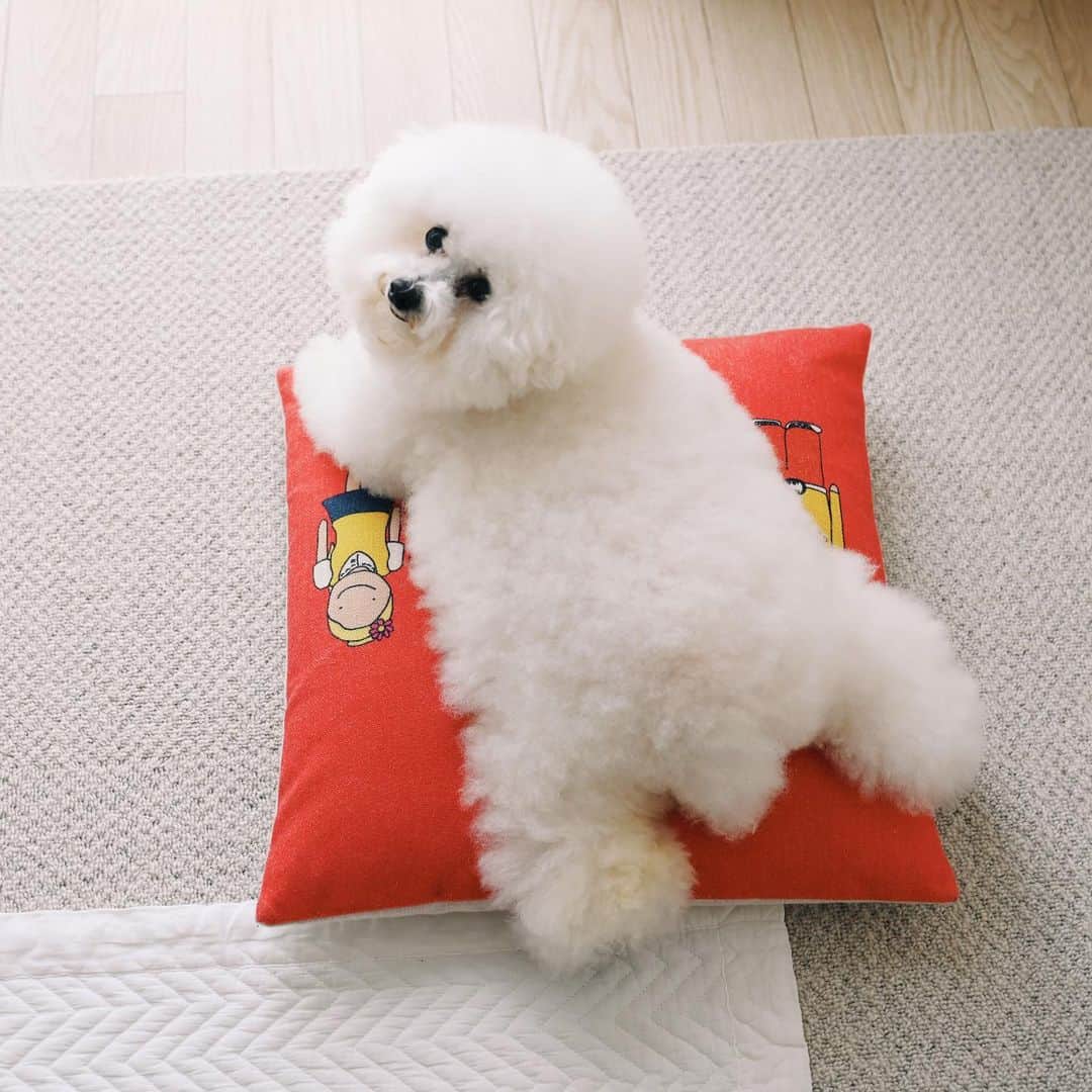 ゆうのインスタグラム：「. . 職場から連絡があり 5月末まで自宅待機伸びました🏠 . お家にいられるのは安心ですが、 正直、しんどいですね😭 早くコロナ収束してくれぇぇえ！ . 毎日体温を計ってるんですが、 平熱より高いとヒヤヒヤドキドキ💦 普段、35.8くらいなのに 36.6くらいあって不安になってます😅 . . . #不安ばっかり #愚痴ってすいません #医療従事者の皆様ありがとう #スーパーやライフライン支えてくれてる皆様も #感謝しかありません #stayhome . . .」