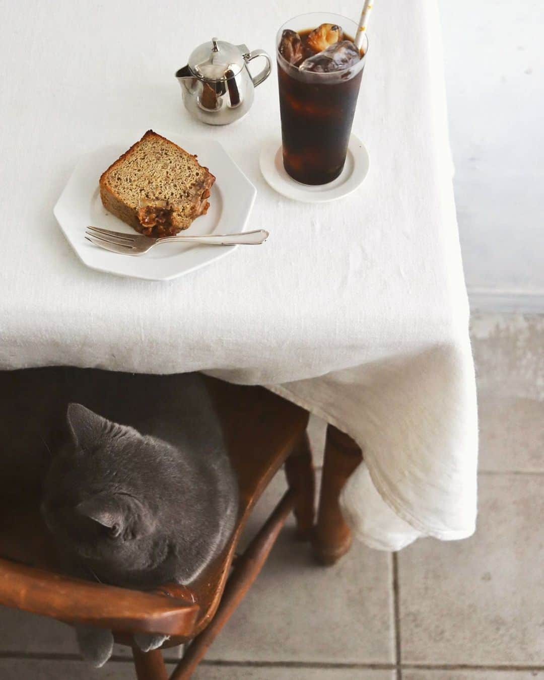 樋口正樹さんのインスタグラム写真 - (樋口正樹Instagram)「banana cake & iced coffee . おやつにバナナケーキ、 アイスコーヒー、＆猫。 . . #おやつの時間 #バナナケーキ #コーヒーと猫 #アイスコーヒー #ふわもこ部 #bananacake #coffeegram #coffeelover #coffeebreak #bonahiguchi #樋口ボナ」5月3日 15時44分 - higuccini