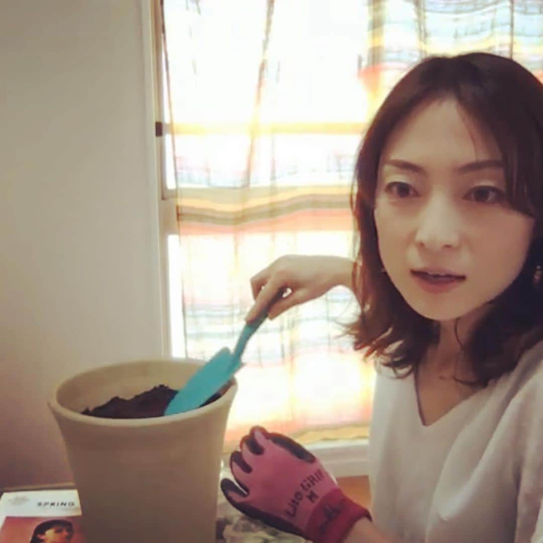 松本英子のインスタグラム：「‪あれ〜⁉️‬ ‪アサガオ撒いちゃったかなー🤣‬ ‪いろいろ事件勃発ww‬ ‪松本英子のライブ配信ラジオ ‬ ‪『 Coming Home 』夢の種編 🌻🌻🌻‬ ‪アーカイブはこちらから❣️‬ ‪https://youtu.be/a2dDNGH5kJM‬」