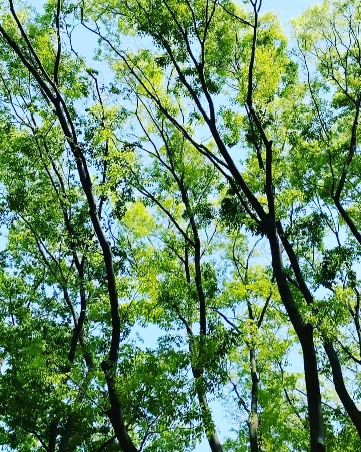 橋本麗香のインスタグラム：「ありがとう💚 ． 皆様もリラックスしたGWを✨😊✨ ． いつも有難うございます☺️🙏🏻❤️」