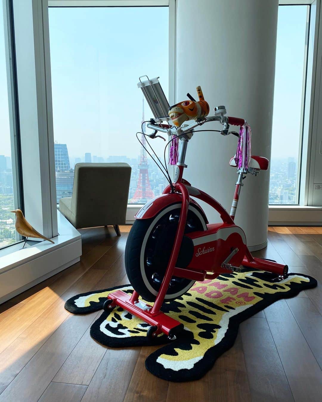 のインスタグラム：「🚴‍♂️💦🐅 🅂🅃🄰🅈🏠」