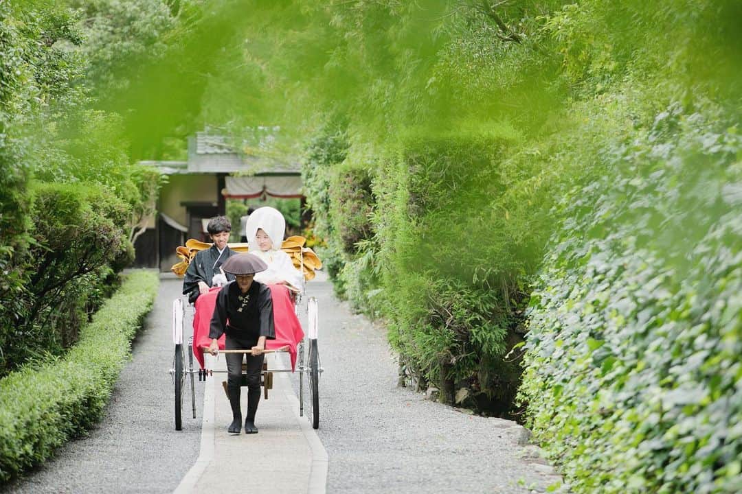 桜鶴苑のグルメインスタ