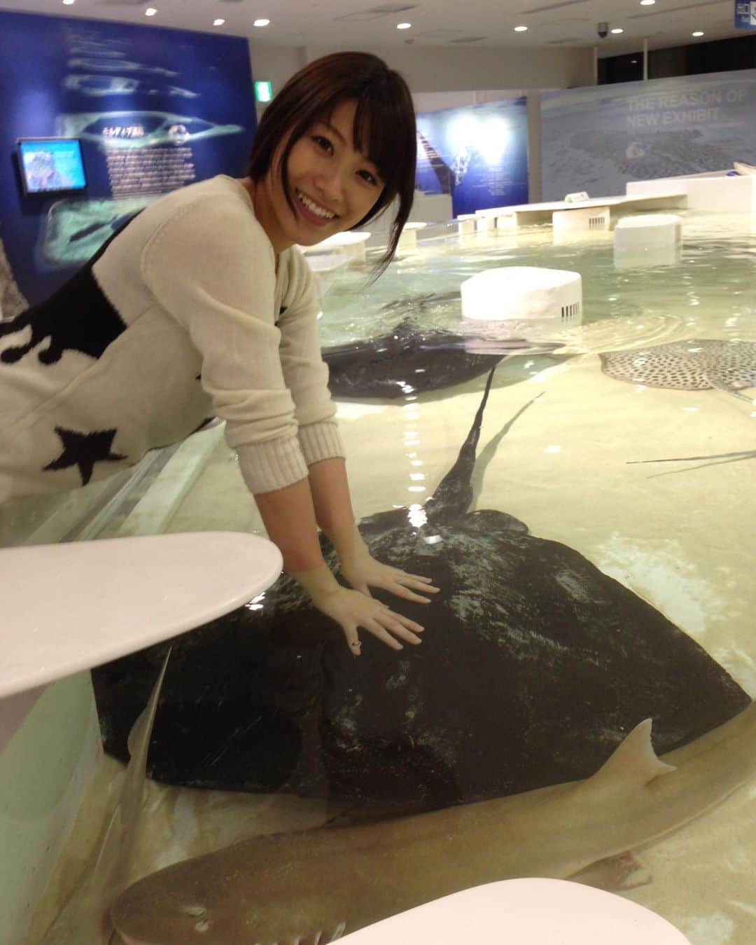 春原未来さんのインスタグラム写真 - (春原未来Instagram)「#大阪 #osaka の #水族館 #海遊館 で #エイ 触った時の写真！#感動した✨ . 動画は #モルディブ #モルジブ にて。エサの時間になると自然と集まってくるなんて賢い！ . At an #aquarium #Kaiyukan in #Osaka.  A photo when I touched a #ray .The video was shot a few years ago when I went to #Maldives .They are wise  It will naturally gather at the time of feeding. . #春原未来 #なんでも触ってみたい」5月3日 17時14分 - sunohara_miki