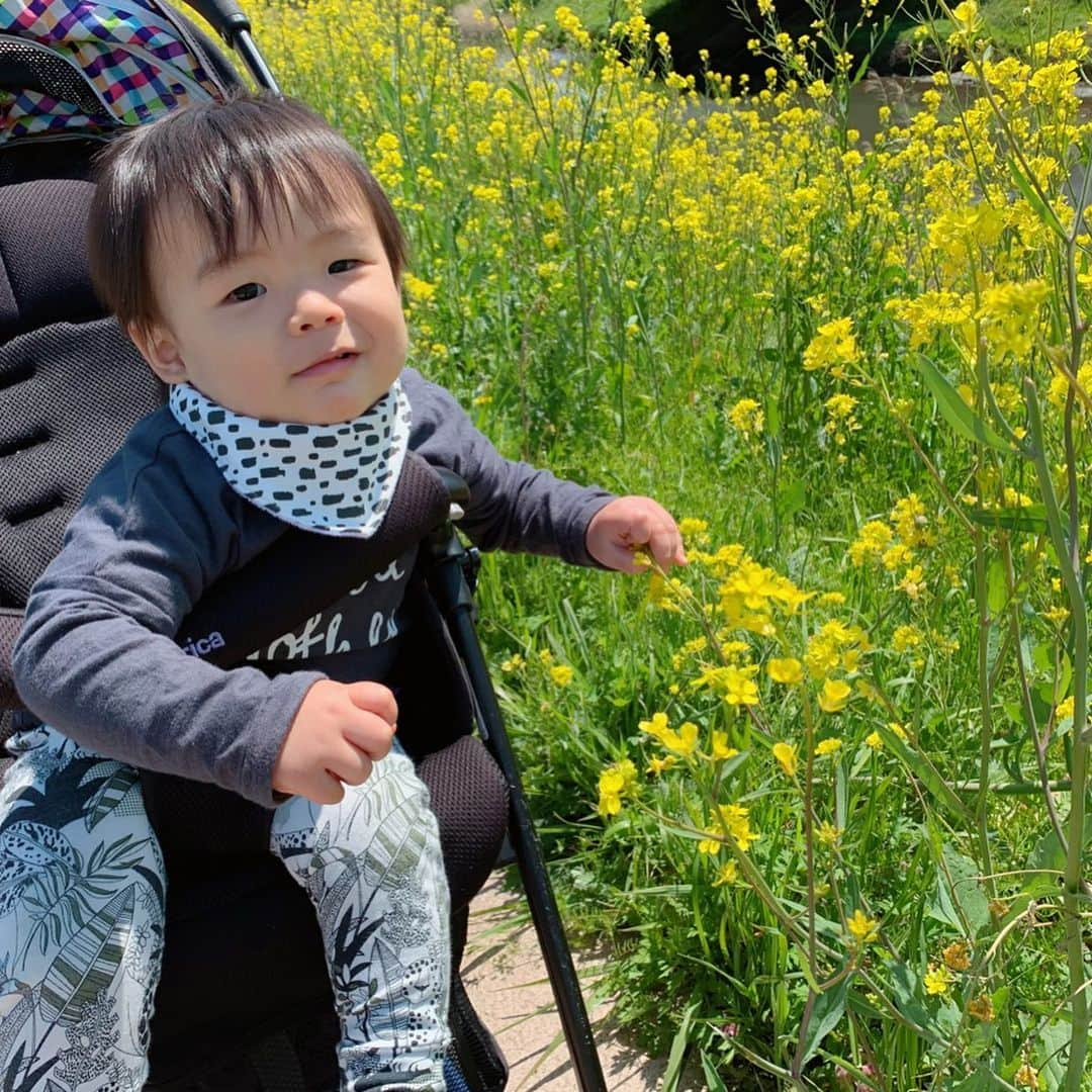 永峰絵里加さんのインスタグラム写真 - (永峰絵里加Instagram)「We found lovely yellow flowers 🌼・ 散歩中に見つけた菜の花に興味津々^_^ きれいだったね〜♡ ・ ・ ・ #先月 #お散歩 #菜の花 #菜の花満開 #みつけたよ #興味津々 #きれいだね  #lastmonth #withmybaby #beautifulflowers #yellowflowers #lovelyday」5月3日 12時46分 - erikalmaz