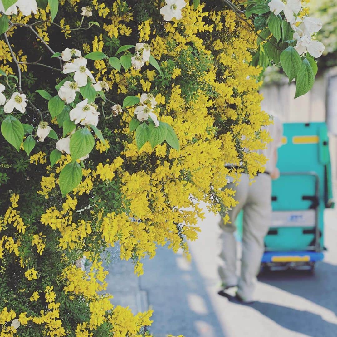 浜島直子さんのインスタグラム写真 - (浜島直子Instagram)「・ ありがとうございます。 ありがとうございます。  何度でも言います。  ありがとうございます。 ・ #stayhome」5月3日 13時15分 - hamaji_0912