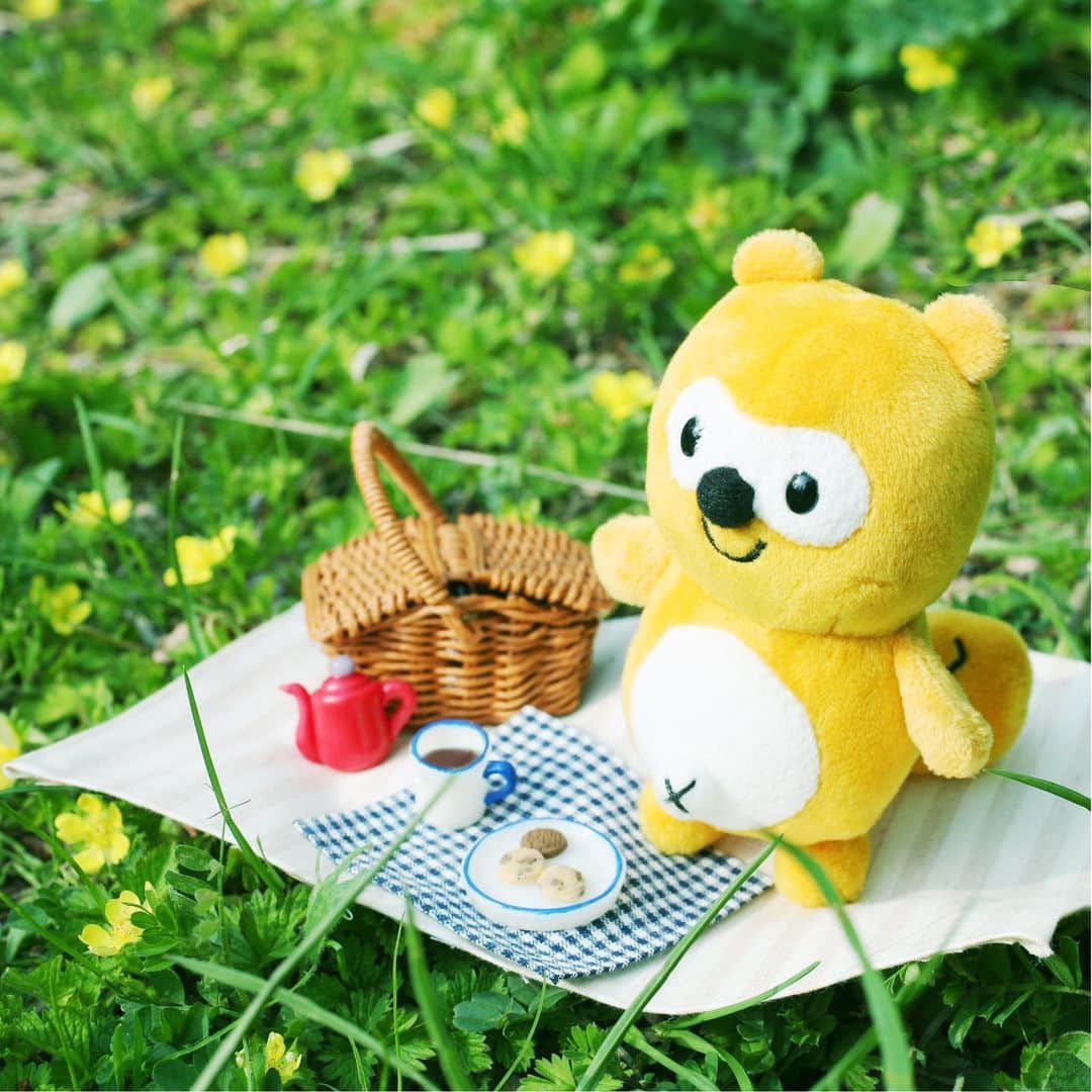ポンタのインスタグラム：「. . おうちの庭でピクニック中だよ😊 プティたちもよんでこよう🍀 . . . #ponta #ポンタ #庭 #お庭 #ガーデニング #マイガーデン #いつでも一緒　#そばにいるよ #幸せが訪れますように #ぬい撮り #ポンスタグラム #撮りポン」