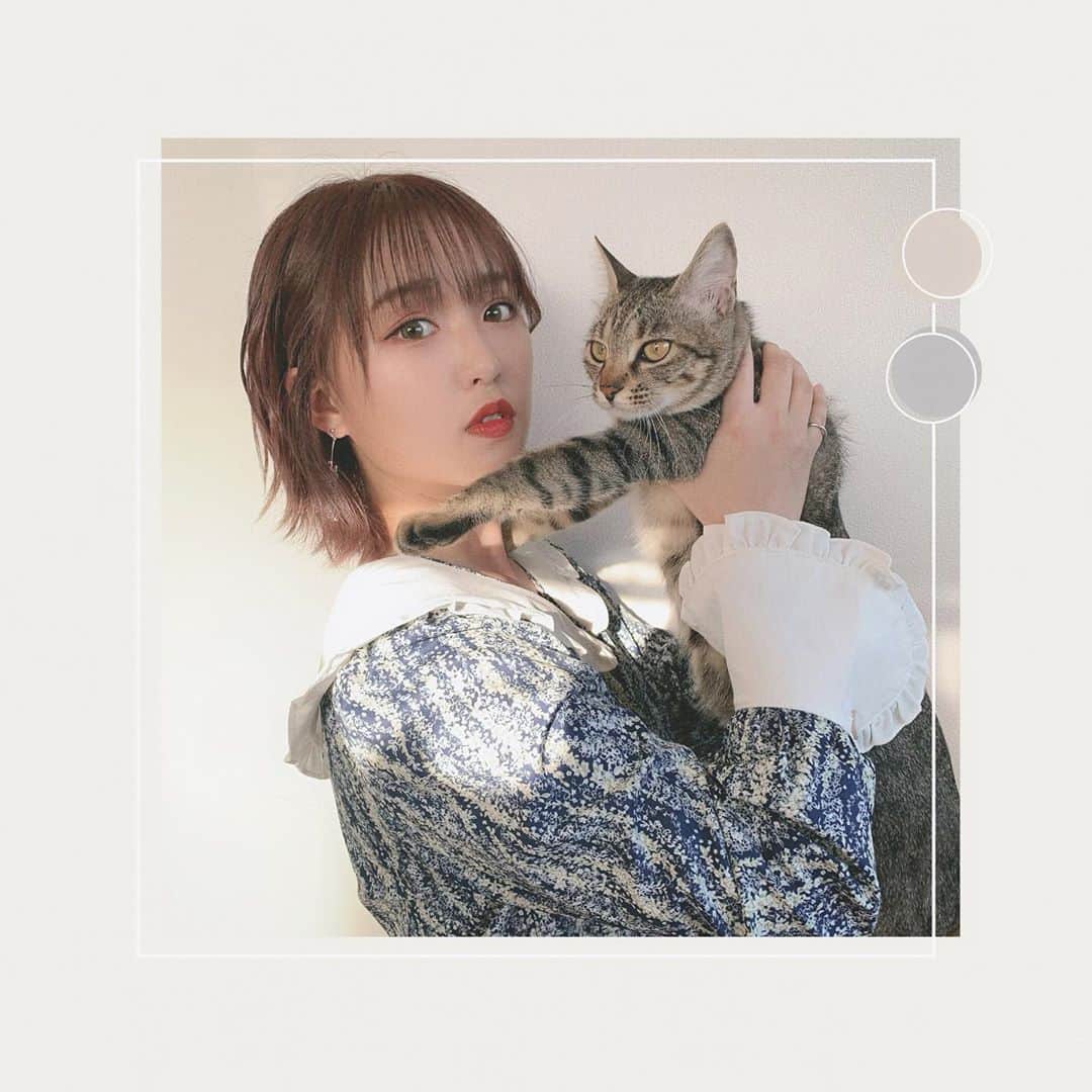 山田菜々美のインスタグラム：「. ジャスミン🐈♀ 4月27日に1歳になりました🌟 . 今ではアラジンより重たくなって すくすくと育っております☺️ . あの時は反対してたけど 今では大切な家族の一員👨🏻👩🏻‍🦱👧🏻🐈🐈 . #猫　#ねこ #猫のいる暮らし  #ジャスミン」