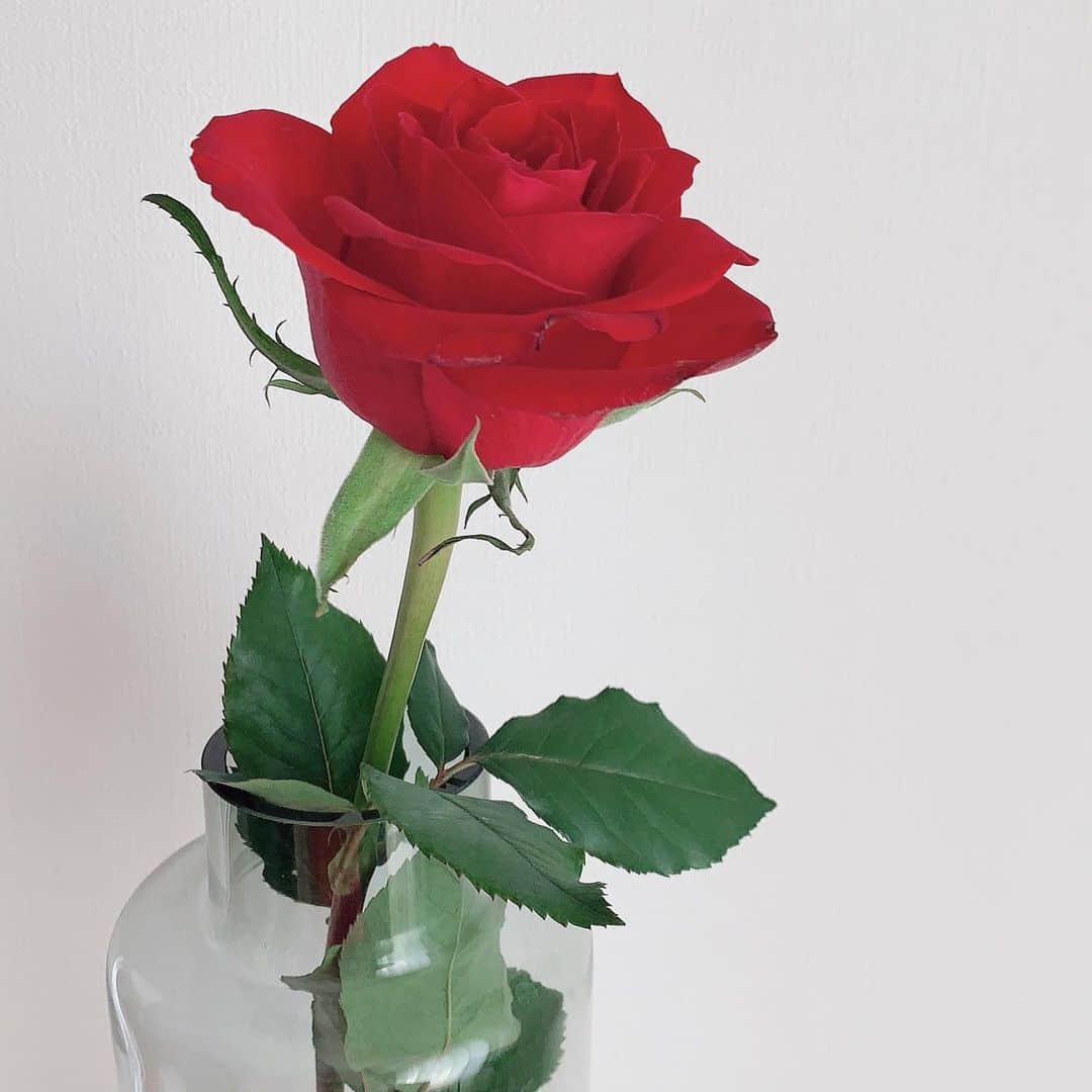 内田眞由美のグルメインスタ