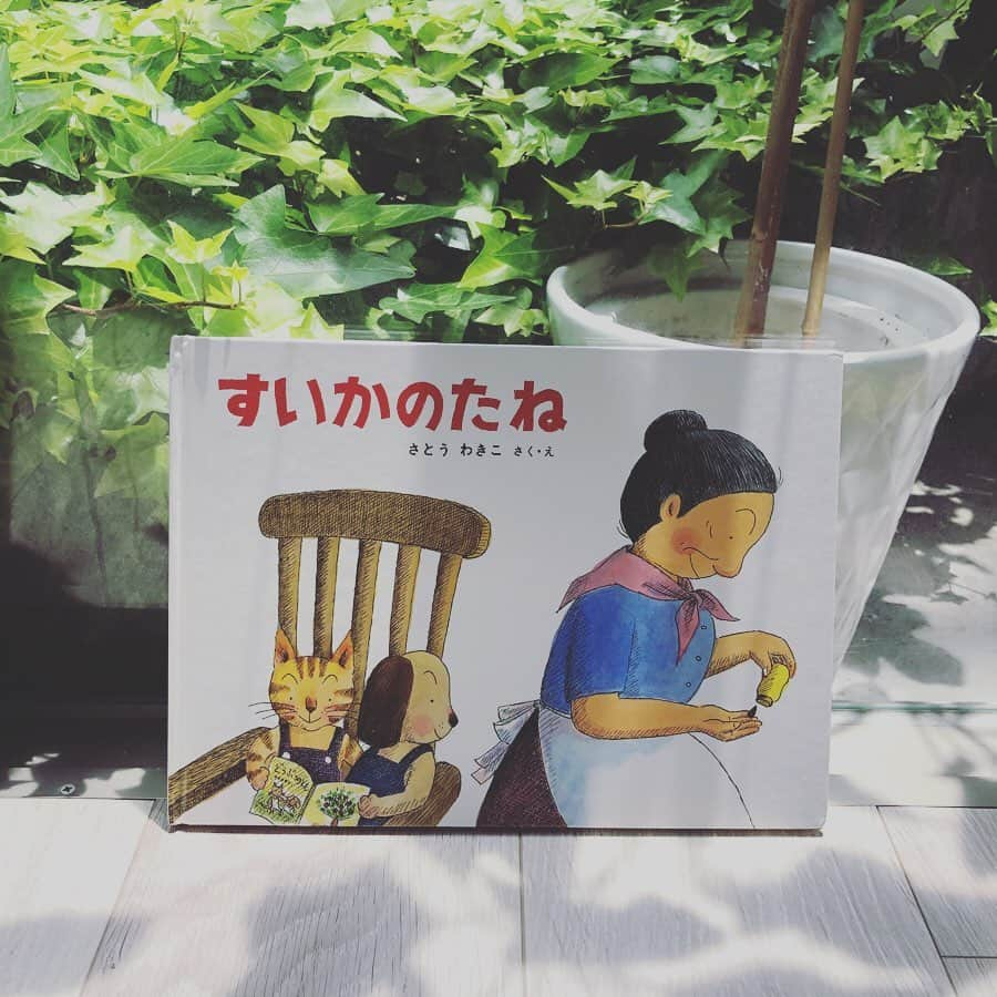 SAYUKIさんのインスタグラム写真 - (SAYUKIInstagram)「dくんがずーっと読んでいるお気に入りの本達。全部何十回読んでるだろう。  #100万回生きたねこ  初めて読んだ時私も泣きました。愛とは、が心に突き刺さる。  #ラチとらいおん 男の子ママなら共感せずにはいられないのではないでしょうか。ラチの成長にこれまた涙。  #かわいいてんとうむし 仕掛け絵本はjくんも一緒になって大喜びです。不思議なオチですが、とにかく可愛らしい本。  #すいかのたね　#ばばばあちゃん 幼稚園にあるシリーズらしくdくん激推しでばあばにおねだりした本。奇想天外な展開にびっくり面白くてハマります。  #はらぺこあおむし  #だんまりこおろぎ  男子2人子育ての先輩、夫の妹さんからいただいた2冊。永遠の定番はらぺこあおむしは言わずもがな、だんまりこおろぎも素晴らしい。最後のオチにキュンとします。  #モチモチの木  古き良き名作。ふみえがdくん2歳の誕生日にくれたよね🥰　豆太がおじいさんを助ける為に必死に走る描写が何度読んでも泣けます。  #星の王子さま #thelittleprince #lepetitprince  人生観、愛、友情、人の存在意義を問う、子供の初めての哲学書と成り得るのではないでしょうか。何度読んでも新鮮な想いが過る。私も大好きです。  #くつのたくはいびん　 サバンナに棲む動物達が様々な思いで靴を欲しがる仕掛け絵本。隠れた靴を探して毎回大喜びです。  #光る生物　#glow 絵本ではありませんが、90年代ロンドンらしいエッジの効いたデザインと、蓄光で光るページで盛り上がります。  #おおきなきがほしい インフォチャンネル700の古書店コーナーでいただいたお土産本。5歳のかおるの豊かな想像力に親子共に夢中になります。  本は一緒に選ぶ事が多いです。 どの本も本当に何度読んでいるか分からない。私も本好きなので嬉しいです。 みなさんのおススメ絵本あったら教えてください☺️💕 #読書　#SAYUKIbook #babyDbook  #絵本　#picturebook #子供の本　#育児　#男の子ママ #5歳」5月3日 15時04分 - sayukisvoice