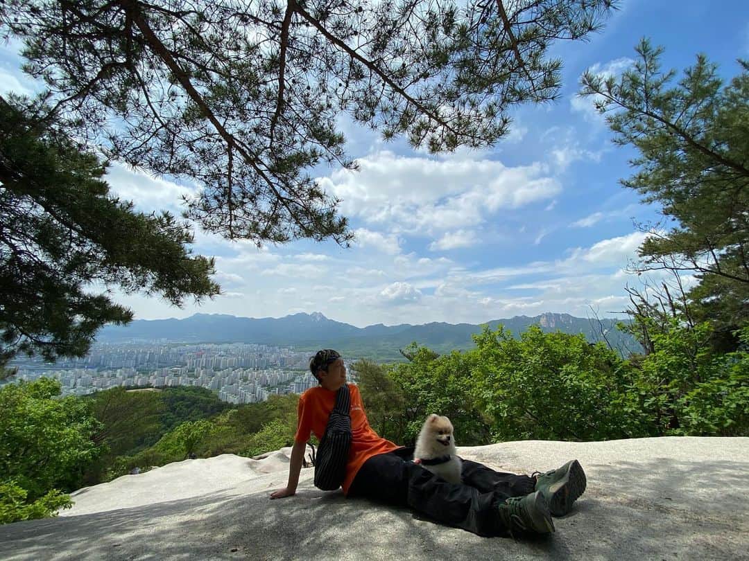 Paloaltoのインスタグラム：「몽크 at the top」