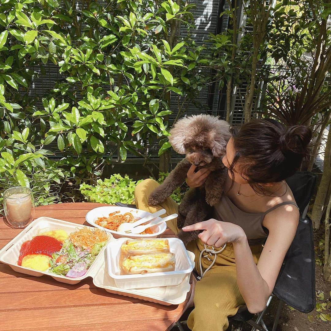 安田華乃さんのインスタグラム写真 - (安田華乃Instagram)「テイクアウトして﻿ お庭で食べたよん🥪🍴﻿ ﻿ #おうち時間を楽しむ ﻿ #ご飯しか見てないモコ﻿ #愛犬﻿ #家族の時間  #テイクアウト #東京オムレツ」5月3日 15時27分 - nanochuuun_