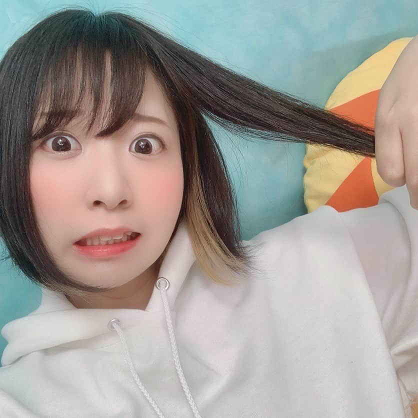 のってんのインスタグラム：「「髪が伸びた〜」って思って変な顔したけど写真見てみたら「そんなに伸びてなかったー！！」」