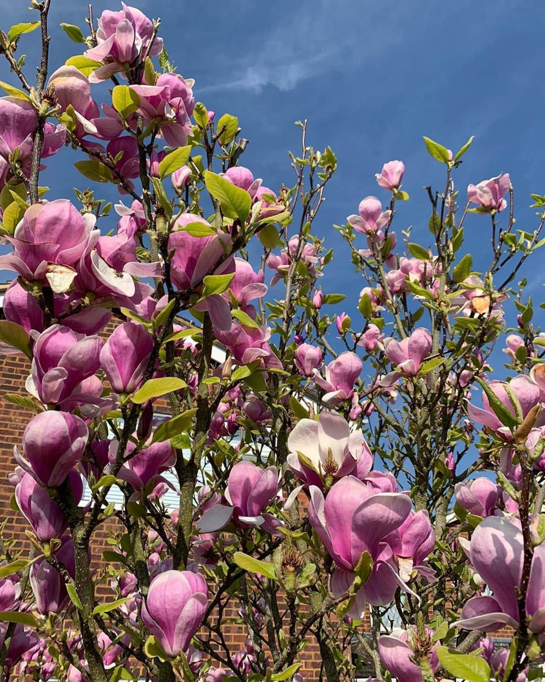 エクトル・ベジェリンさんのインスタグラム写真 - (エクトル・ベジェリンInstagram)「My week through pictures.」5月4日 1時41分 - hectorbellerin