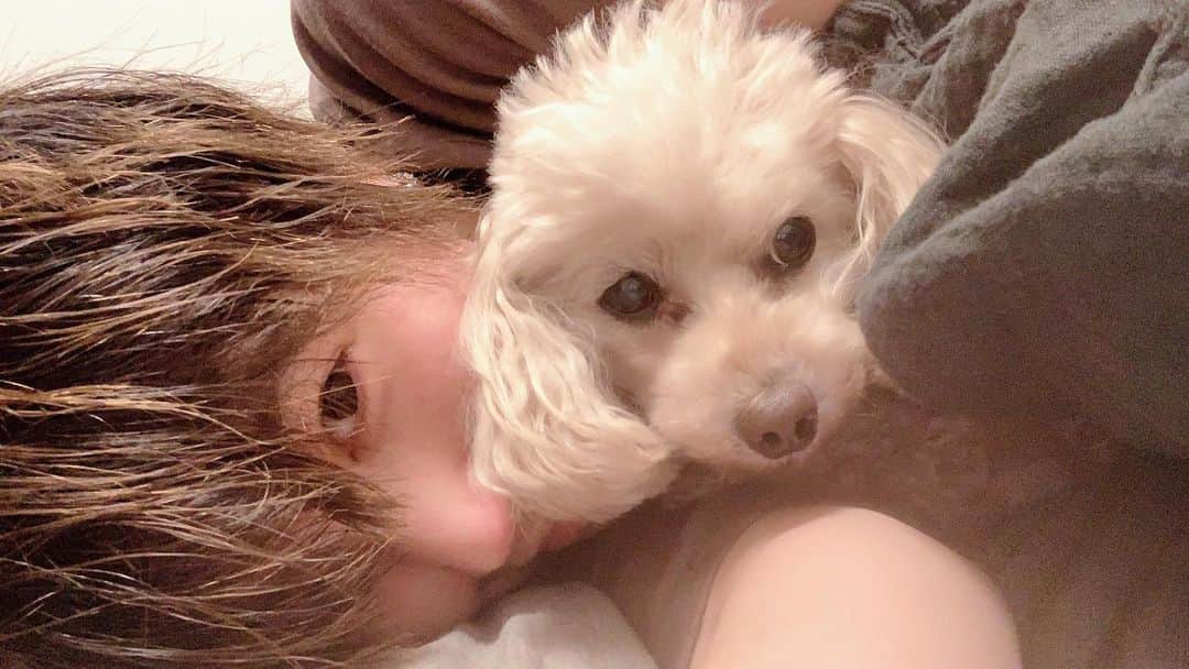 ZYUN.のインスタグラム