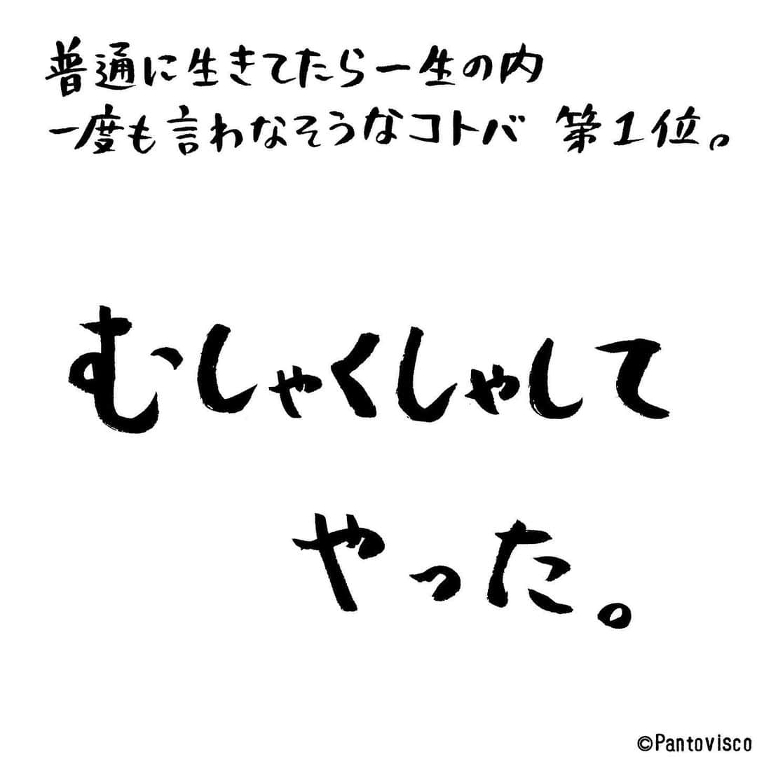 pantoviscoさんのインスタグラム写真 - (pantoviscoInstagram)「『普通に生きてたら絶対言わない言葉』 #ネタとして使う人はたくさんいるかも #警察が犯人供述の際書類に落とし込む為に汎用的に使わせている言葉だと推測 . . . #1コマファンタジー #1コマ #習字 #書 #文字 #漢字 #言葉 #筆 #筆文字 #シンプル #インスタグラム #いいね #美文字 #ペン #言わない #容疑者 #モノクロ #くだらない #警察 #犯人 #むしゃくしゃしてやった #ムシャクシャしてやった #ステイホーム #家で過ごそう #お家 #おうち時間 #あるある」5月3日 17時19分 - pantovisco