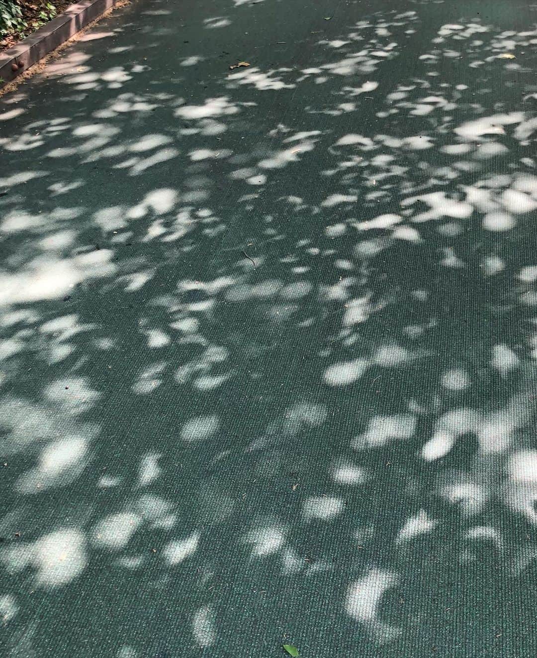 ソ・ウンスのインスタグラム：「오늘의 예쁨 🍃」