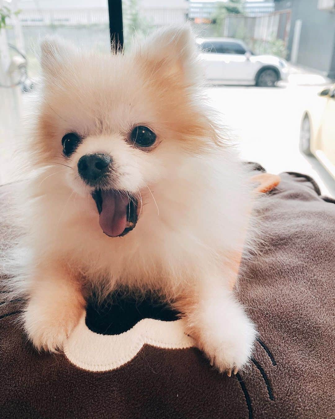r_oseのインスタグラム：「Calling for coffee ☕️〰️」