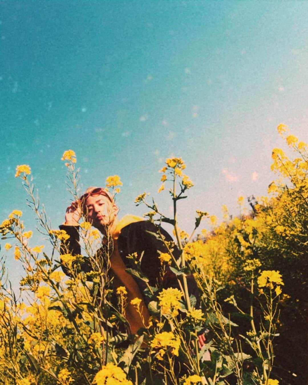 古幡亮（WATWING）のインスタグラム：「. 🌼🕊」