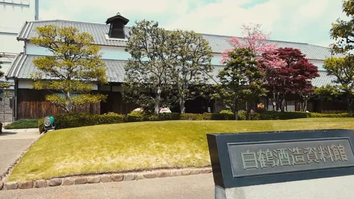 白鶴酒造株式会社のグルメインスタ