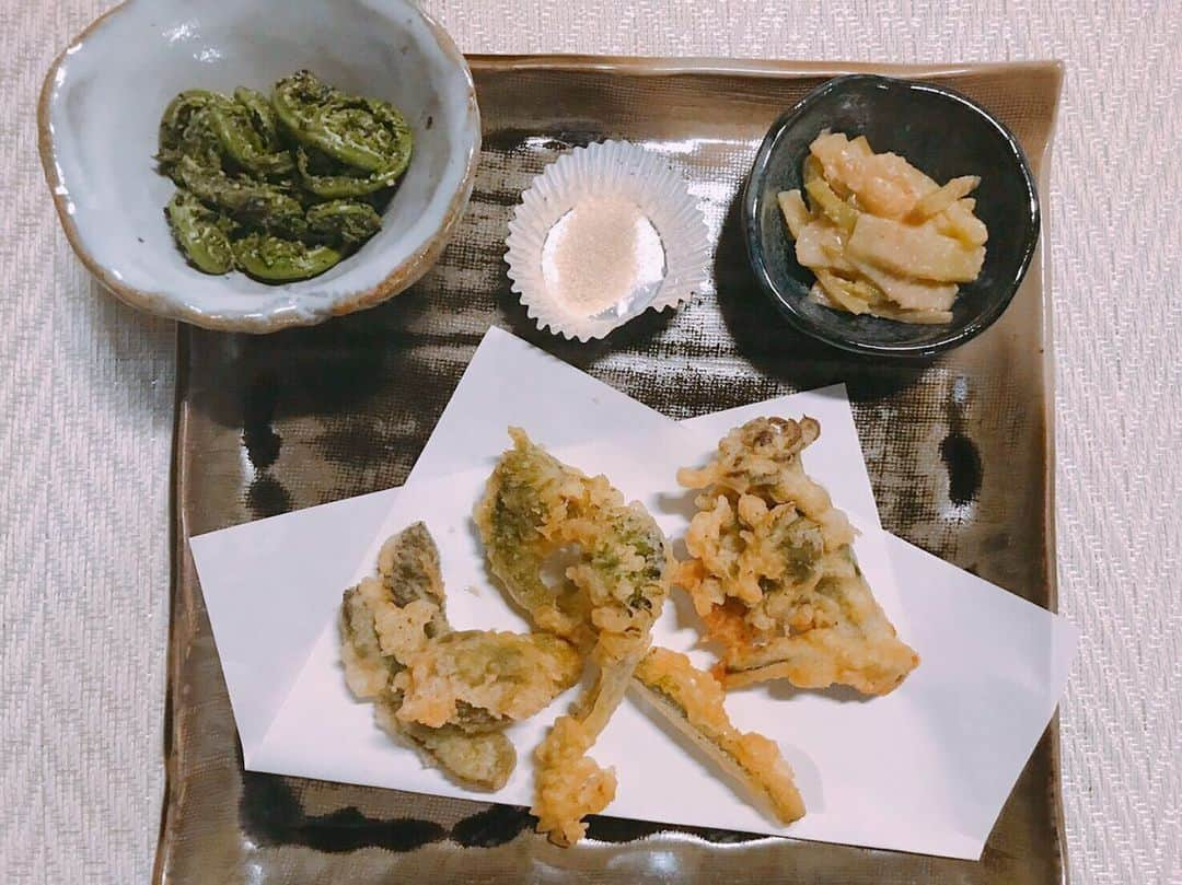 ときさんのインスタグラム写真 - (ときInstagram)「ウドの葉で酢味噌和えこごみの胡麻和え、タラの芽、ウドの葉、こごみの天ぷらです❣️ 切り方がわからなかったり、顔や手に油が跳ねて、心折れそうだったけどおばあちゃんが教えてくれて、食べてくれたのを「美味しかったよ、その調子で頑張れ👍」って褒められました🥰  塩は胡椒と空焼きにしてみました✨  皆さんはソース派？ 醤油派？ 塩派？ ・ ・ ・ #居酒屋とき  #居酒屋メニュー  #今日のメニュー  #山菜  #旬の食材  #青森県産  #タラの芽 #天ぷら  #ウドの酢味噌和え #ウドの天ぷら  #こごみの胡麻和え #こごみの天ぷら  #お家時間  #stayhome #ウチカツアオモリ」5月3日 19時20分 - toki_ringomusume