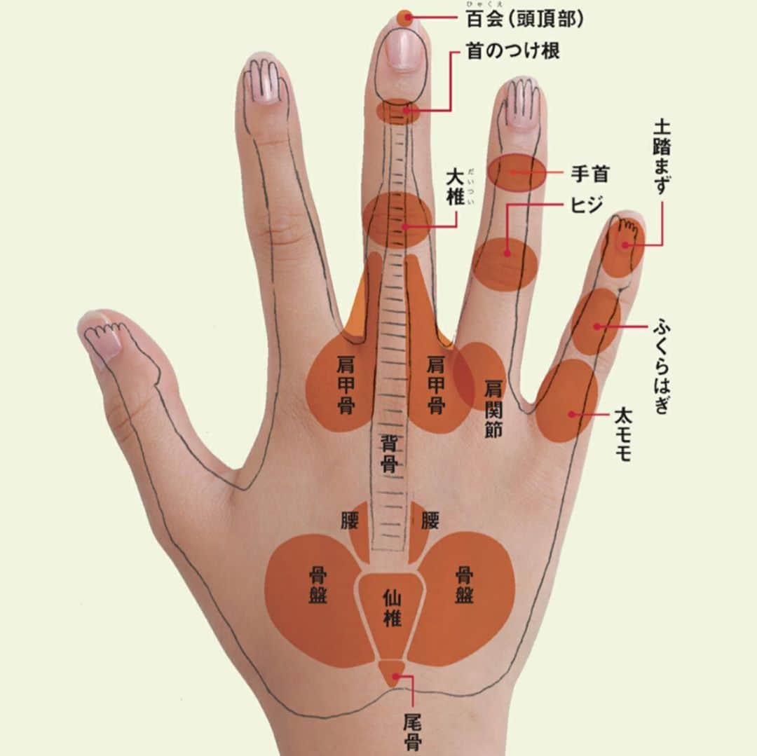 kogao283さんのインスタグラム写真 - (kogao283Instagram)「手と身体の対応✋  手のひら側は人体のお腹側になります。  主に内臓は手のひら側に分布されるので、 内臓のケアは手のひら側を刺激することになります。  反対に手の甲側は、背中側。両手とも同じ分布にな り、体の不調は左右のどちらかの手に現れます。 押すと痛い所が不調の場所。  #反射区#予防医学#ツボ#東洋医学#ステイホーム #stayhome」5月3日 19時16分 - kogao283