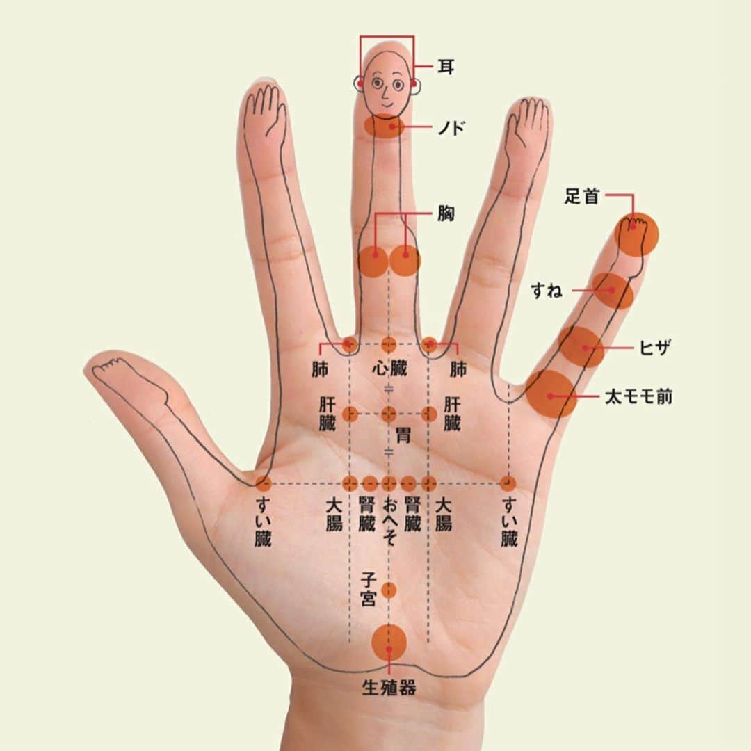 kogao283のグルメインスタ