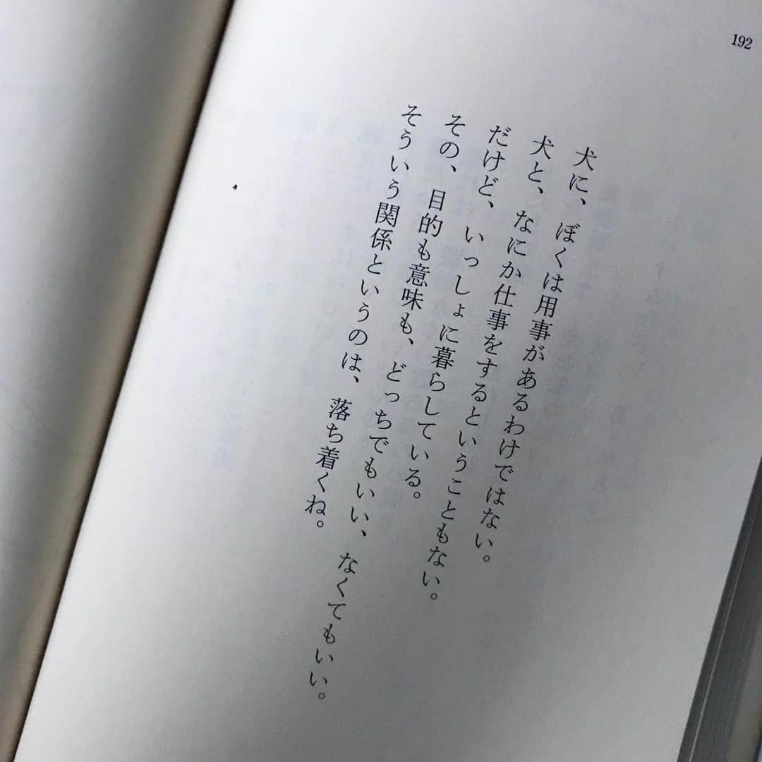 ほぼ日刊イトイ新聞さんのインスタグラム写真 - (ほぼ日刊イトイ新聞Instagram)「【平岡祐太さんが朗読してくださいました】 俳優の平岡祐太さん @yuta_hiraoka0901 が 糸井重里のことばをあつめた 『ふたつめのボールのようなことば。』を 朗読をしてくださいました。  読んでくださったのはこのページ。 平岡さんのアカウントでぜひ聞いてみてください。 文字で見るのとまた違うイメージがわいてきます。  おそらく糸井はブイちゃんのことを書いています。 平岡さんが思い浮かべたのは 投稿にもよく登場するアポロちゃんですね、きっと。  平岡さん、アポロちゃん、ありがとうございました！  #平岡祐太 #朗読 #糸井重里 #ふたつめのボールのようなことば。 #ほぼ日 #ほぼ日刊イトイ新聞 #ほぼ日ブックス」5月3日 19時22分 - hobonichi1101