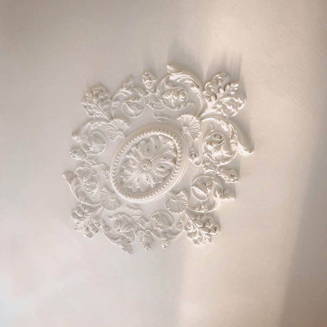 meg rockのインスタグラム：「🇮🇹 #2017 #july #summer #summer2017 #eurosummer #summertime #summervibes #throwback #tb #beforequarantine #memories #ceiling #italy #venice #venezia #europe #euro #eu」
