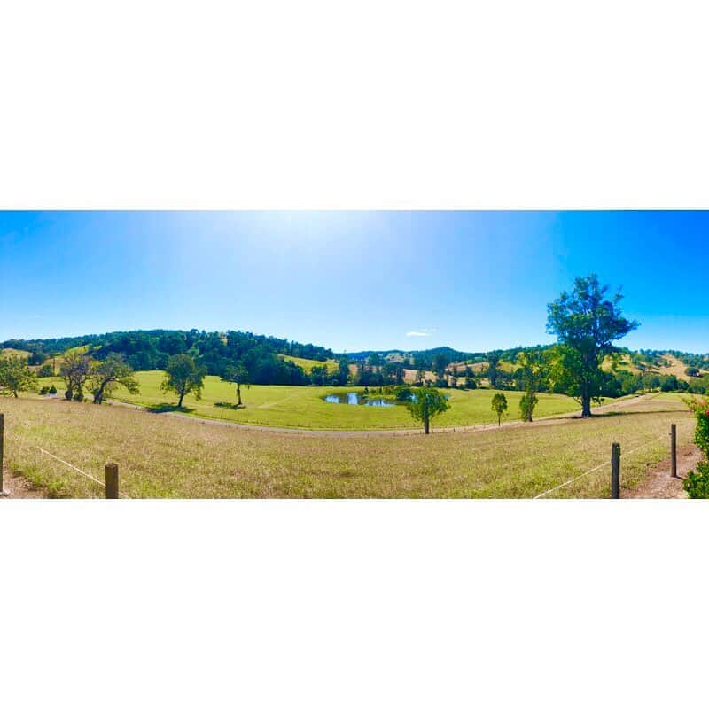 メーガン・ネイのインスタグラム：「▫️ bit of country air for the wkd 👩🏼‍🌾」