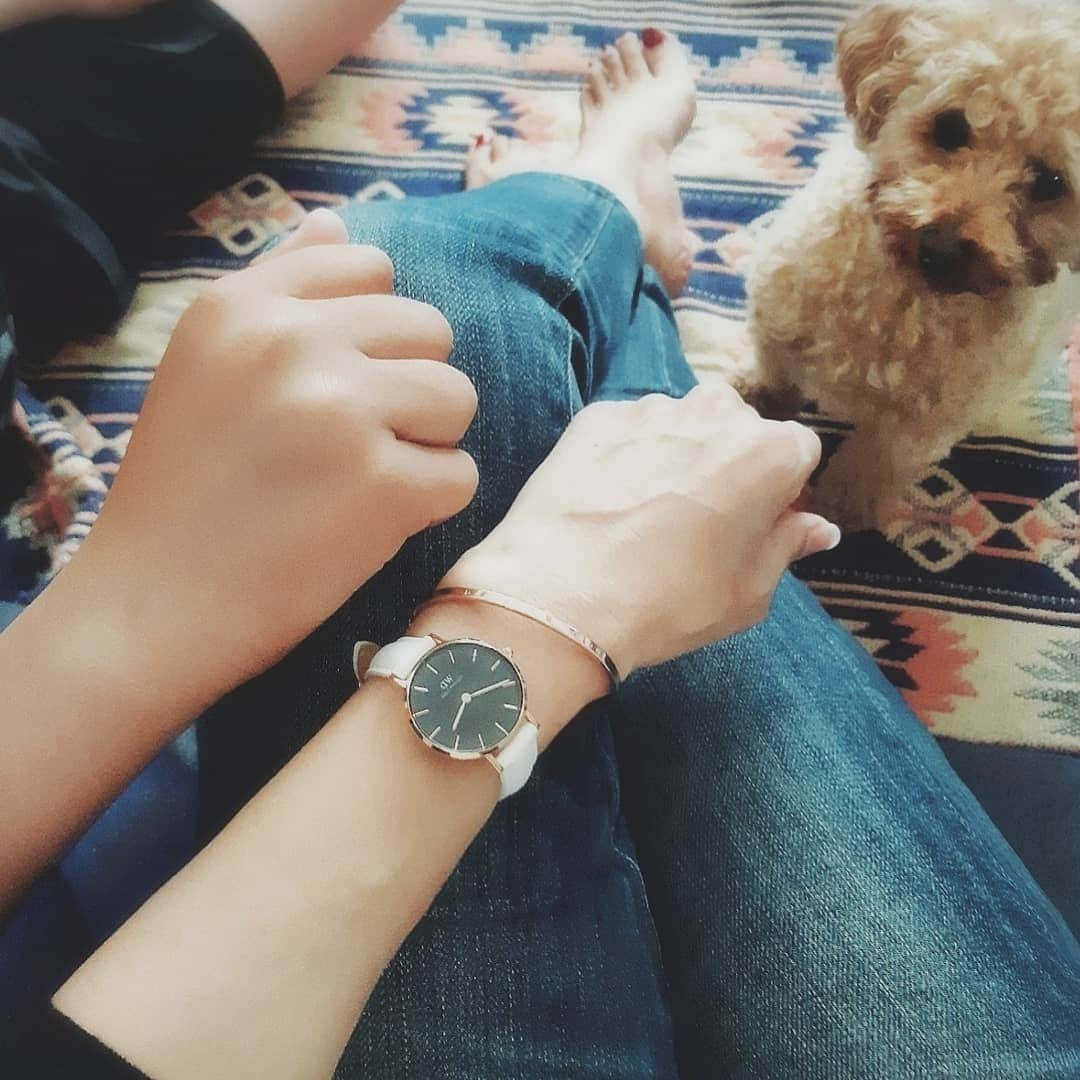 acoさんのインスタグラム写真 - (acoInstagram)「★☆★ .  #おうち時間 🏘️ #家族 #🐶 .  ワンコも息子も だいたい私のまわりにいる😂💓 . 写ってないけど娘も近くにいる😂 . おうち時間のなかの なにげない幸せ☘️ .  私も子供の頃は母にベタベタしてたような。。。😌 母の日にはオンライン帰省しよう🎶 .  @danielwellington ⌚ ❥︎:❥︎15%offクーポンコード ｢acoaco｣ （DW公式直営店舗とWEBショップにて使用可能） . 母の日ギフトにぜひ❤ . さらに5月10日までに2点以上の購入で10％off！ . https://www.danielwellington.com/jp * * #ダニエルウェリントン#timetothankmom#PR . . #春⌚#DW手元ルックス#手元コーデ#手元倶楽部#danielwellington#dw#腕時計#女子力up#⌚#腕時計くら部#watch#ギフト#stayhome」5月3日 19時31分 - happy_acoaco