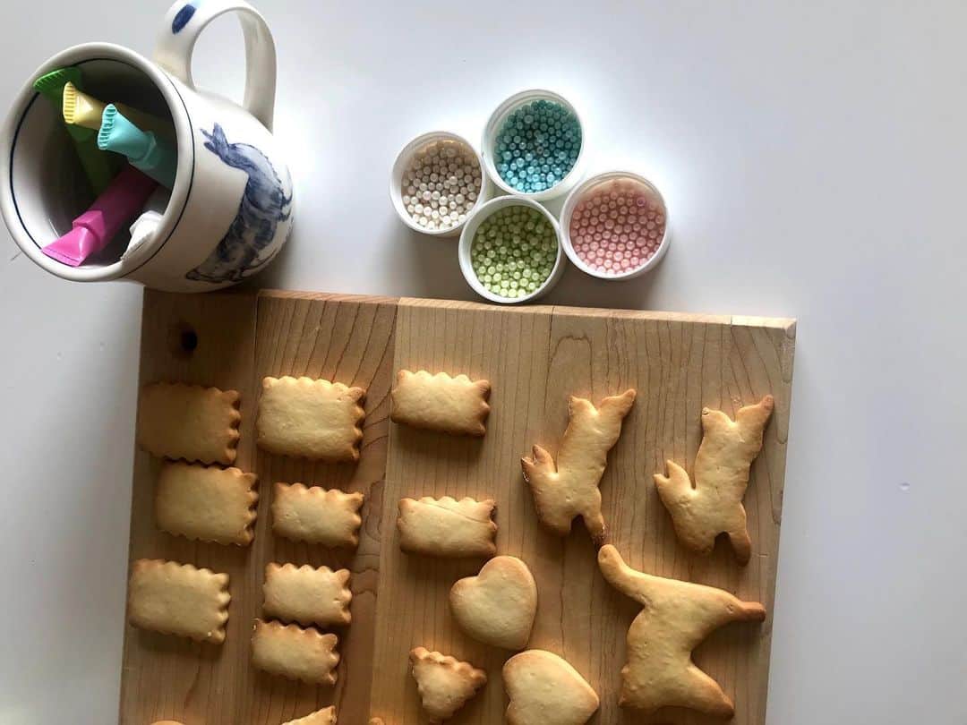 福田淳子さんのインスタグラム写真 - (福田淳子Instagram)「Cookpadの集中連載 #おうち時間を楽しむお菓子 vol.５は 「デコレーションクッキー」です。（5＆6のテーマは子どもと一緒に作ろう！です。） このクッキーは、バターが少ないので、寝かす必要がなく、子どもにも扱いやすい生地になっています。  そして、型抜きのエッジがきれいに出ます。今は100均にもかわいいクッキー型が揃っていますし、今すぐに作りたい！という方は、コップや、瓶の口、缶のフタ…とにかく家にあって抜けそうなものを活用しても。  そのままでも可愛いのですが、チョコレートペンでデコレーションすると一気に華やかになります。チョコレートペンは、繊細な線を描くのが難しいので、できるだけシンプルに使います。おすすめはドット！ 線を描くよりかんたんです。  その他のコツはぜひコラムでご覧くださいね。  #cookpad #クックパッド #型抜きクッキー #デコレーションクッキー」5月3日 19時41分 - junjunfukuda
