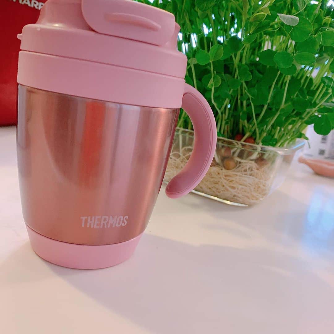 氷浦紫さんのインスタグラム写真 - (氷浦紫Instagram)「#THERMOS のマグをパパにもらったー ピンクは自分では選ばないから新鮮！！ テント生活を楽しんでいるのを見て買ってくれました。  そして、ここ数日の天気の良さと気温で豆苗が凄い成長して、パスタの具になりました😋 午後から急に模様替えをして、気分スッキリ！気分転換！ 模様替えオススメです✨  #緑は癒される #自粛中の過ごし方 #緊急事態宣言中の過ごし方 #コロナに負けるな」5月3日 19時56分 - yukalihiula