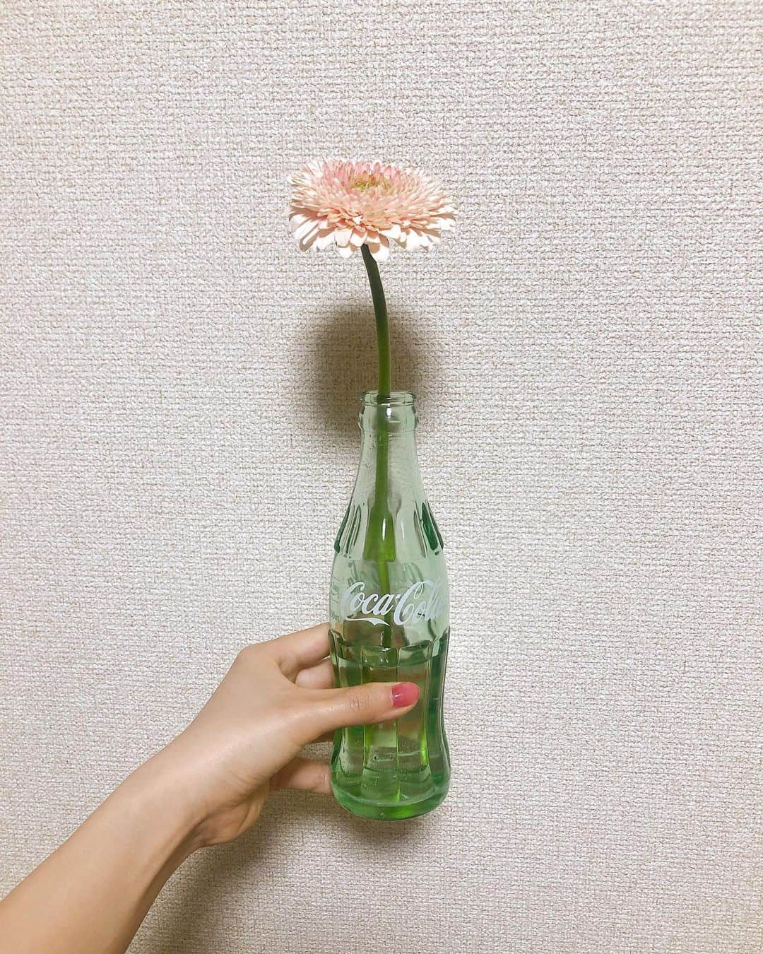 杏沙子さんのインスタグラム写真 - (杏沙子Instagram)「今日お散歩してたら お花屋さん開いてたから癒しを連れて帰ってきた☺️」5月3日 20時35分 - asako.ssw