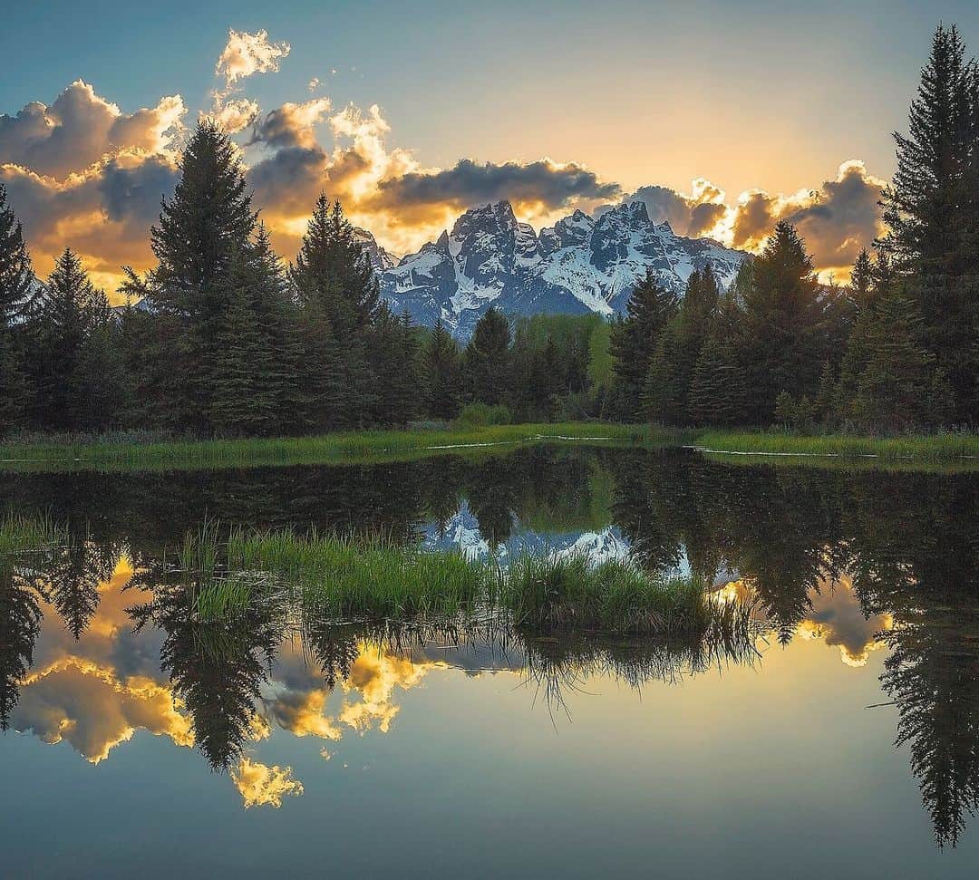 Chase Dekker Wild Life Images Chase Dekker Wild Life 