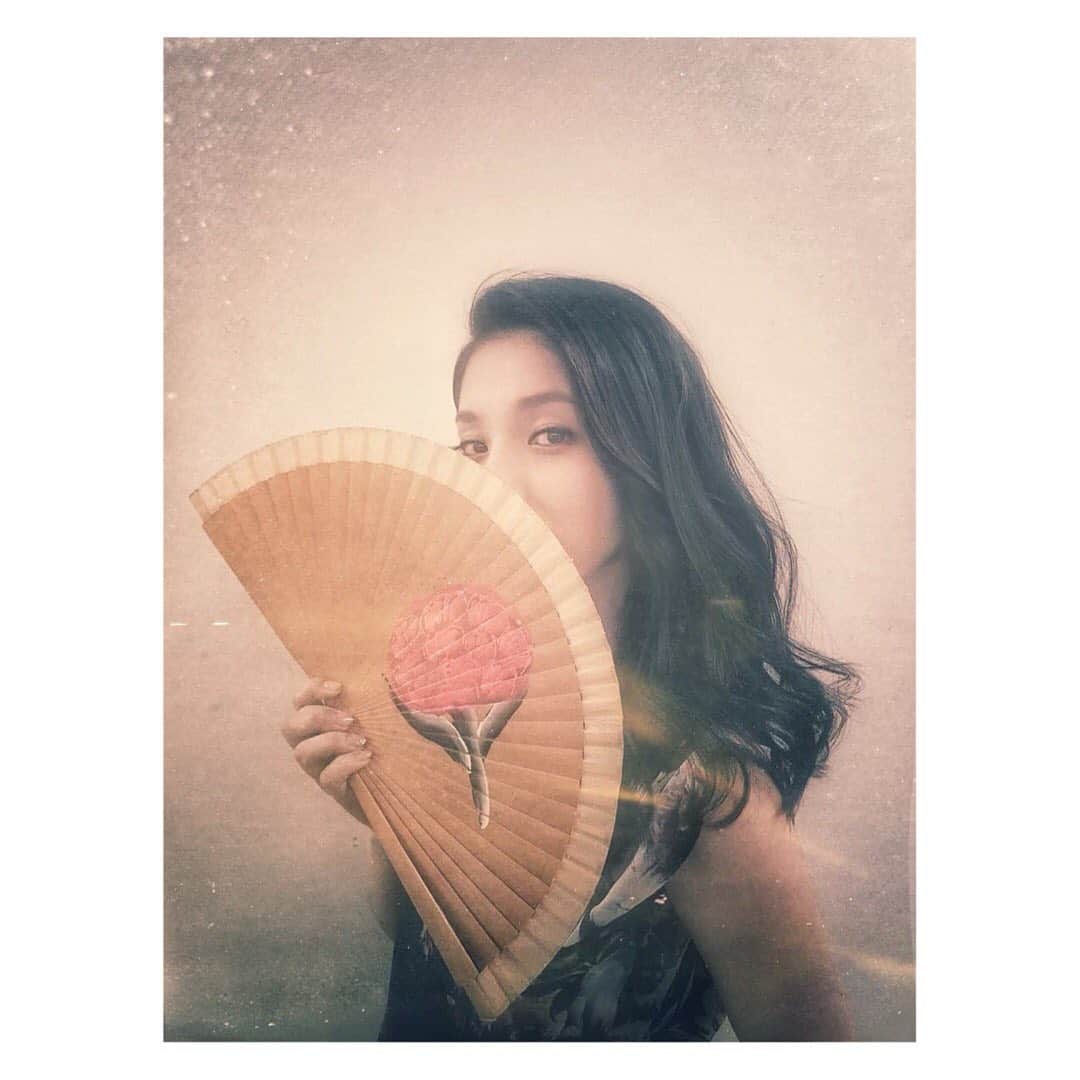 城南海のインスタグラム