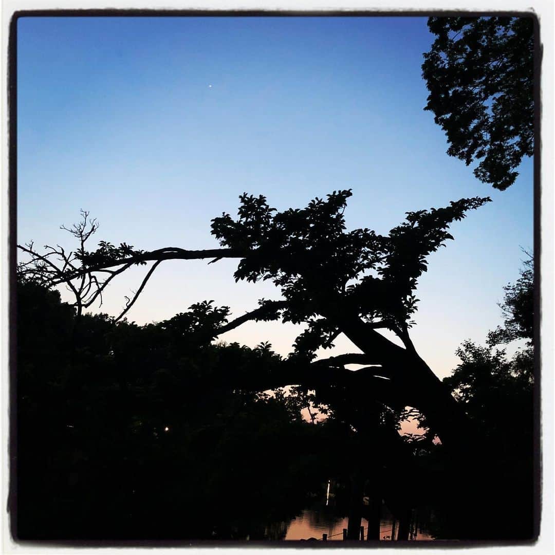 純名里沙さんのインスタグラム写真 - (純名里沙Instagram)「まるで切り絵🌙 ・ #切り絵のような風景  #光はアート」5月3日 21時31分 - risajunna3158