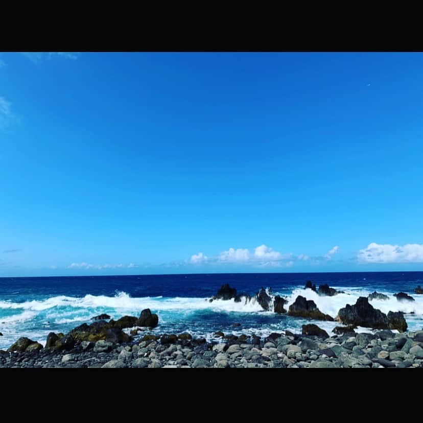 美城れんさんのインスタグラム写真 - (美城れんInstagram)「今日は… 昨日、海の🏖写真！とコメントにあったので、2月17日ハワイ島の海！風が強い日でした〜サンドイッチ作ってのんびり海を眺めに行った思い出😌🏖の一枚です。 今日も、色々な事に感謝。今自分に出来る事を！感謝の心を持ってstay home😌」5月3日 21時40分 - ren.mishiro