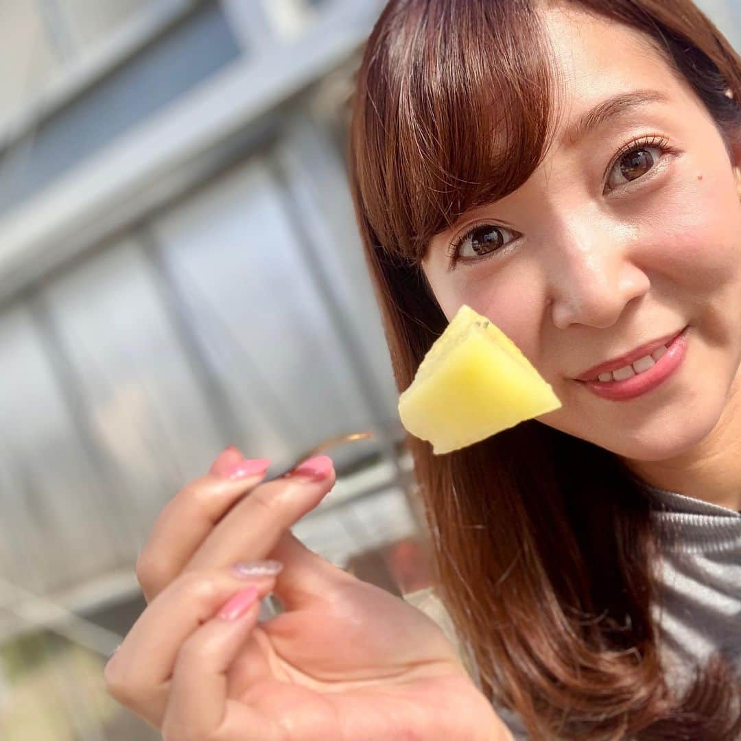 小野澤玲奈さんのインスタグラム写真 - (小野澤玲奈Instagram)「メロン集🤳🍈﻿💋 ﻿ メロンのあみあみは﻿ あえてひび割れさせて中を守るためにできた「かさぶた」﻿ う、うつくしい…﻿ ﻿ このあみあみを細か〜くもっこりさせると どんどん高級になっていって﻿ 雪→白→山→富士✨と等級があがる﻿ ﻿ あみあみは日々キュッキュと磨くそうです ﻿ 美味しくて美しいものを生み出せる人、尊敬しちゃう🍈﻿ ﻿ アローマメロンとクラウンメロンは﻿ 生産地が違うだけで「食べれば全く同じ！」だそう。😲﻿ 袋井のメロンも磐田のメロンも大好き！！！！！ . . そして静岡のマスクメロンには GABAがたっぷり  食べた〜い🥺 ﻿ #農学部女子  #メロン #メロン好き #メロン大好き  #アローマメロン ﻿ #クラウンメロン ﻿ #磐田 #袋井  #温室メロン #メロックス静岡  #メロン愛 と #メロン豆知識 を﻿ #なぜか今披露☺️ #へぇー って思ってくれたら嬉しいです☺️」5月3日 22時12分 - reina.onozawa