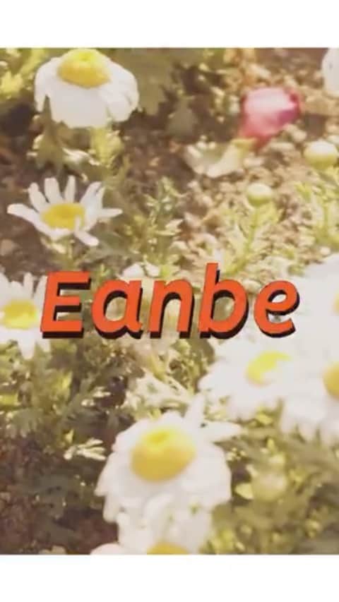 TsurutaHitomiのインスタグラム：「@eanbe_official  @_daikisakai  @kiichishimoji」