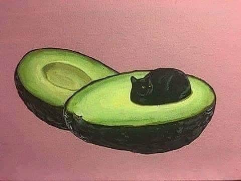 相羽瑠奈さんのインスタグラム写真 - (相羽瑠奈Instagram)「🥑 avocado cat 😹」5月3日 22時51分 - rone.runa