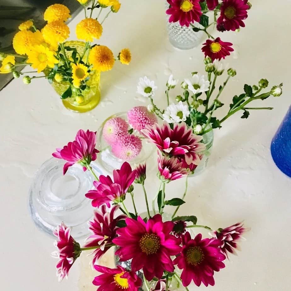 宮城麻里子さんのインスタグラム写真 - (宮城麻里子Instagram)「#お花畑みたい　 お花🌸たちも、明るいパワーをくれますね。 色んなものに助けられて生きてます😘 #コロナウイルスが早く終息しますように」5月4日 10時22分 - miyagimariko