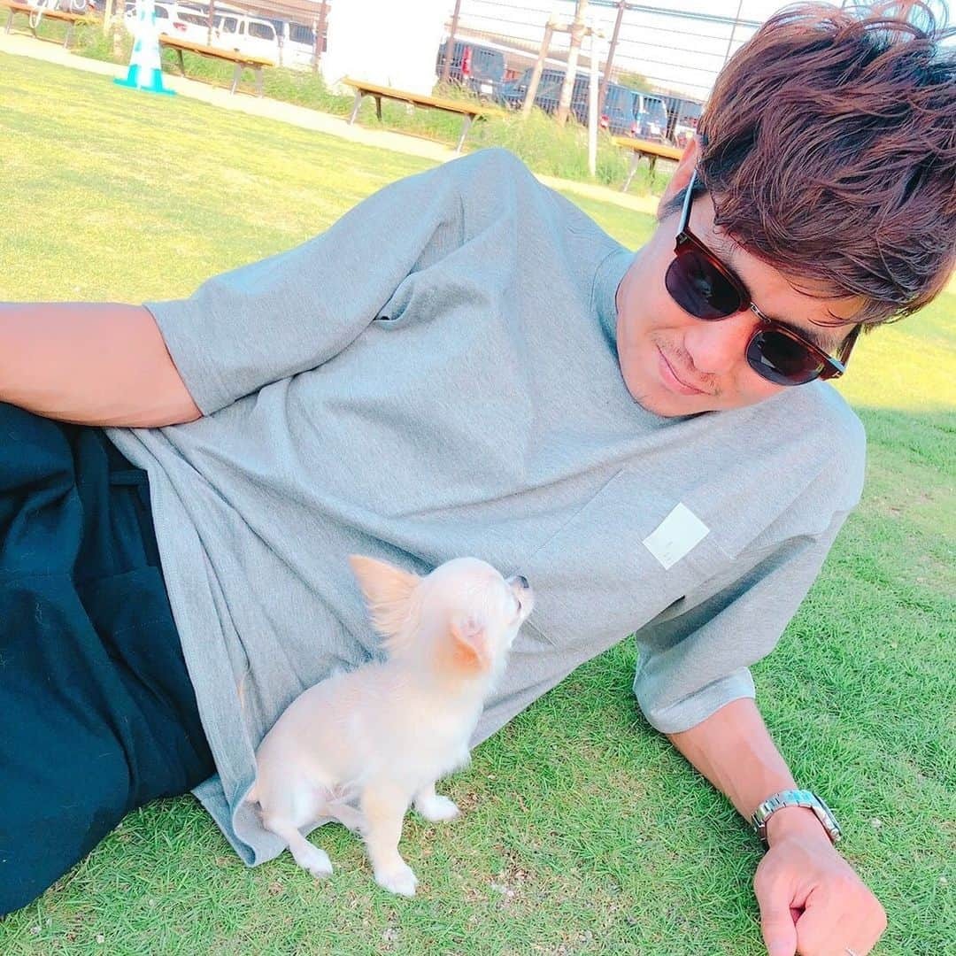 サッカーキングさんのインスタグラム写真 - (サッカーキングInstagram)「🐶きょうの、ワンちゃん🐕  #おうちWEEK  #FC東京 @fctokyoofficial  #三田啓貴 選手 @hirotakamita のベティちゃん 種類：#チワワ 年齢：2歳 【三田啓貴選手コメント】 神戸時代、たまたま入ったペットショップで出会いました。最初は買う気はなかったのですが、目があった瞬間一目ぼれしてすぐに購入してしまいました。性格は、甘えん坊。よくくっついてきますし、僕が朝遅くまで寝てると、部屋をノックして起こそうとします。散歩だと吠えるけど、家の中だとおとなしくてお利口さんです。 遠征で長期間家を空けてから帰ってくると、玄関で待っていてくれるのがとても可愛いです！  #サッカー #Jリーグ #soccer #football #JLeague #dog #doglover #soccerking #サッカーキング」5月4日 11時08分 - soccerkingjp